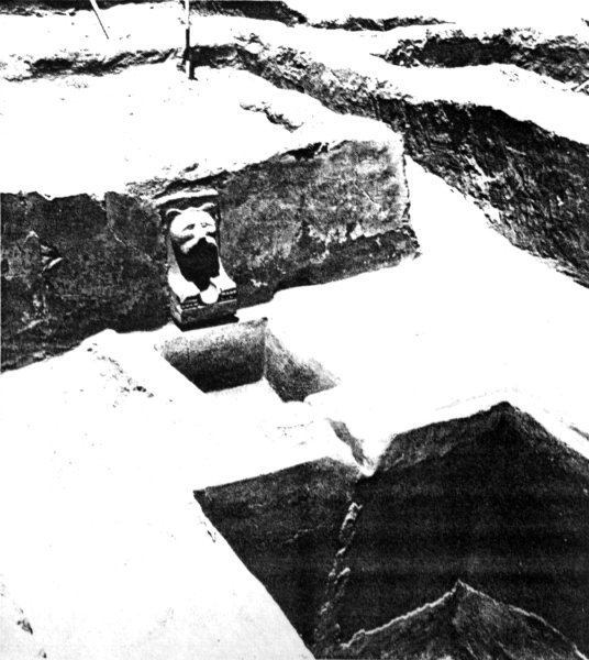 Meinarti wine press